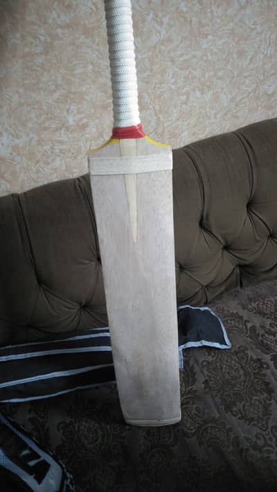 Coconut profile Bat with cover, inners for sale