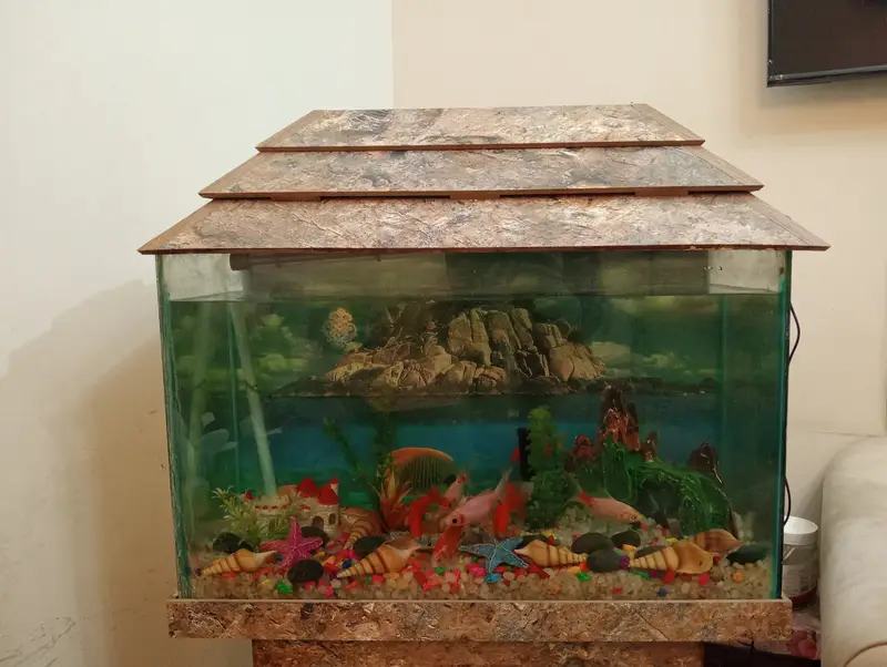 Fish Aquarium — photo 4