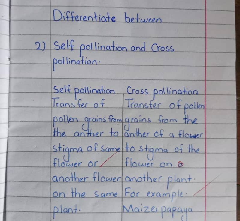 Assignment work 2