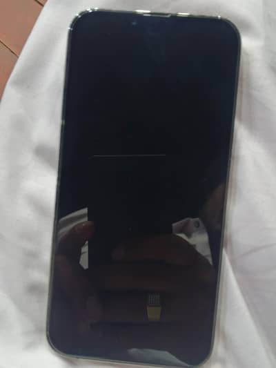 Apple iPhone 13 Pro Max 256gb Jv