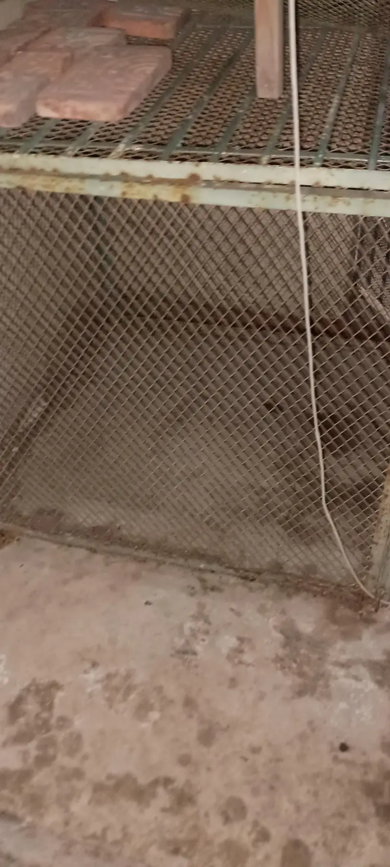 pet cage size 4x4 folding — photo 3
