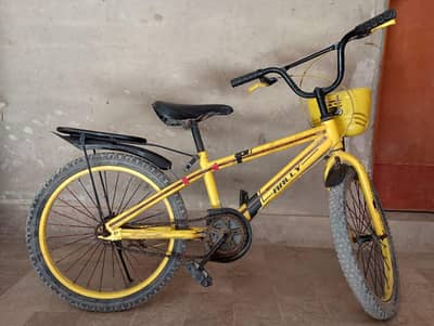 Imported Bicycle