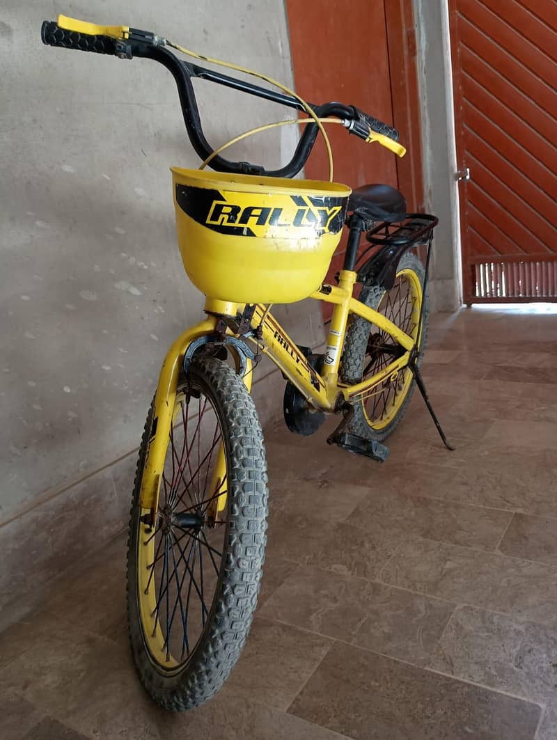 Imported Bicycle 2