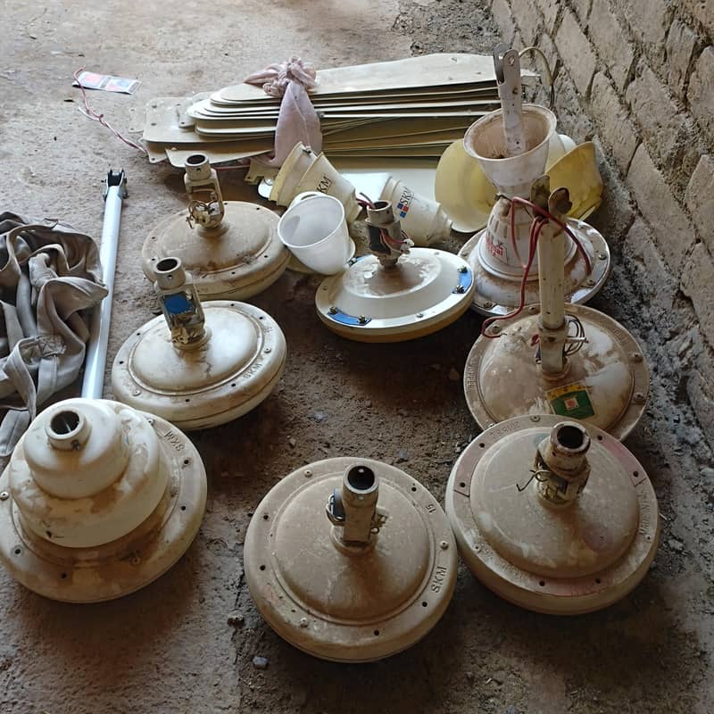 فروخت کے لیے 8 عدد سیلنگ فین دستیاب ہیں 0