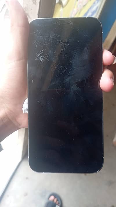 Apple iPhone 13 Pro Max