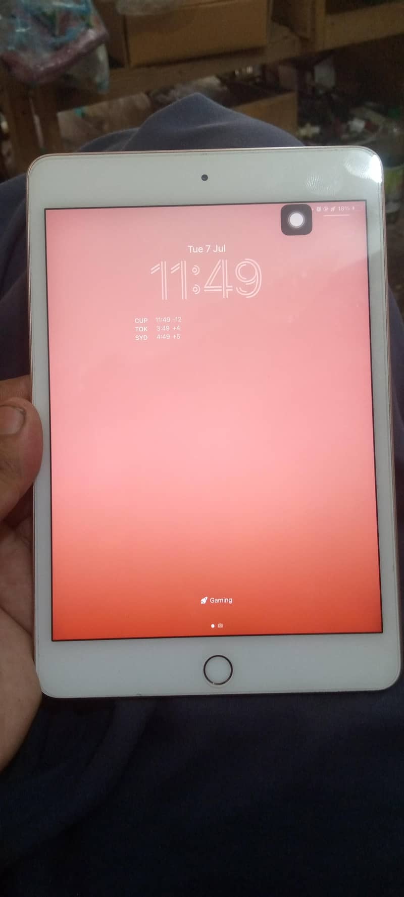 ipad mini 5 0