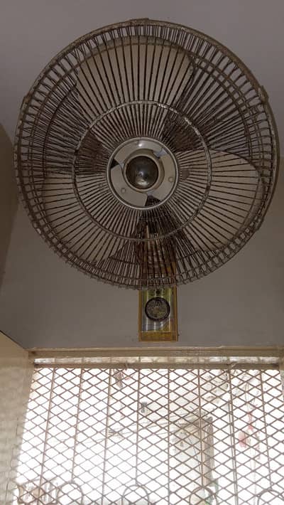 Yunus Fan for Sell