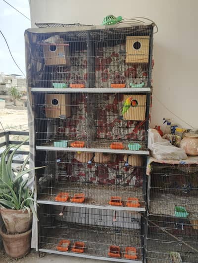 Master Cage