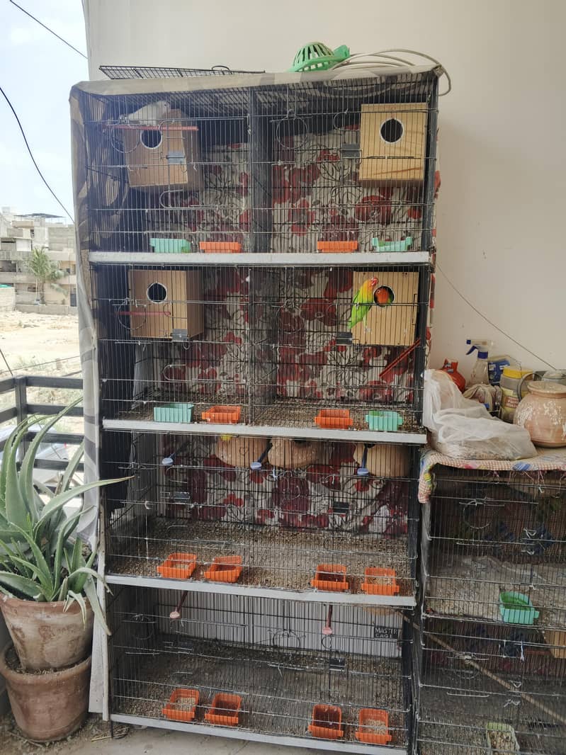 Master Cage 0