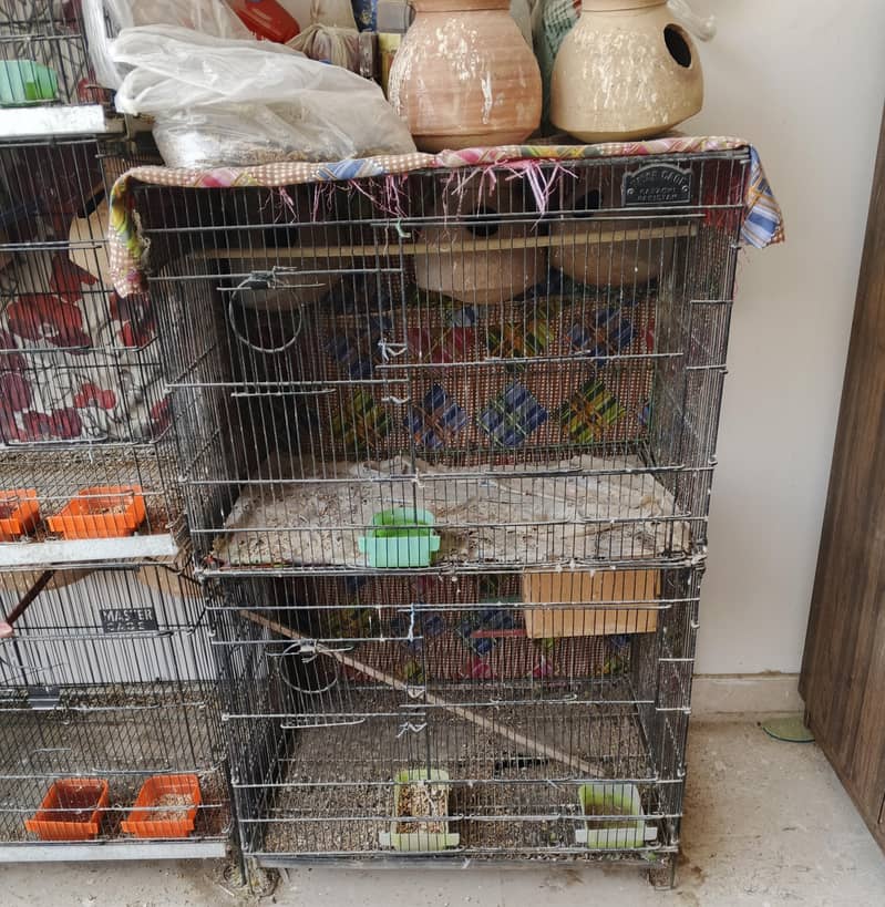 Master Cage 1