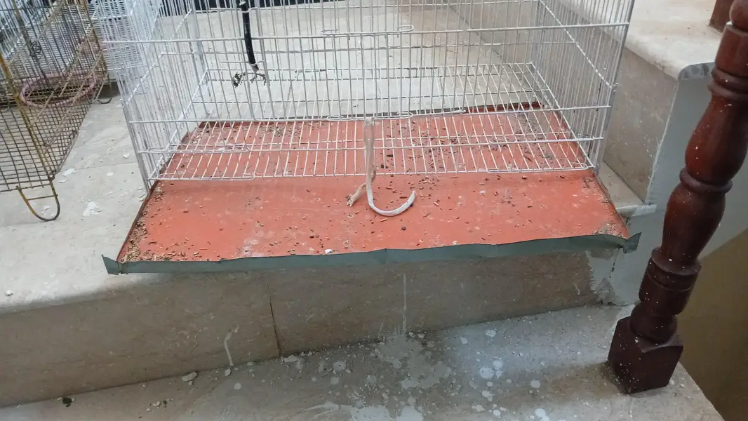only cages for sel — photo 3