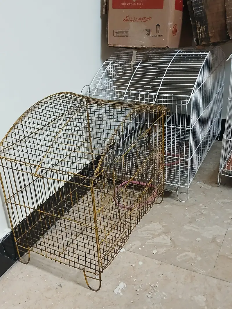 only cages for sel — photo 4