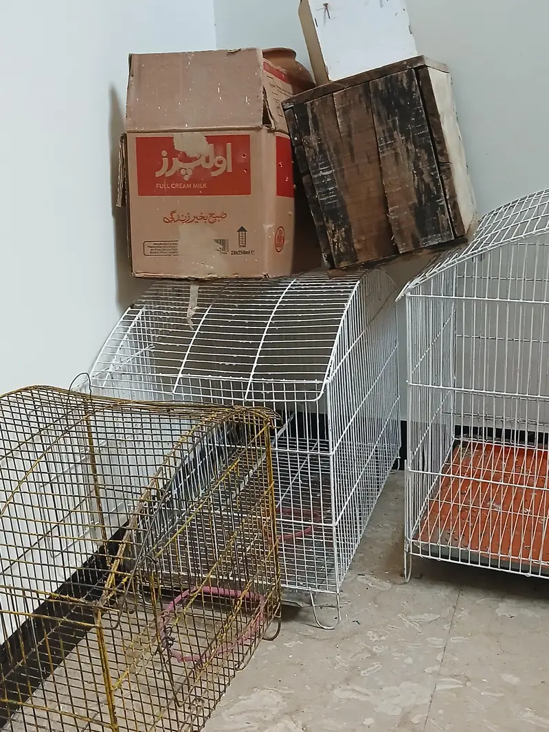 only cages for sel — photo 5