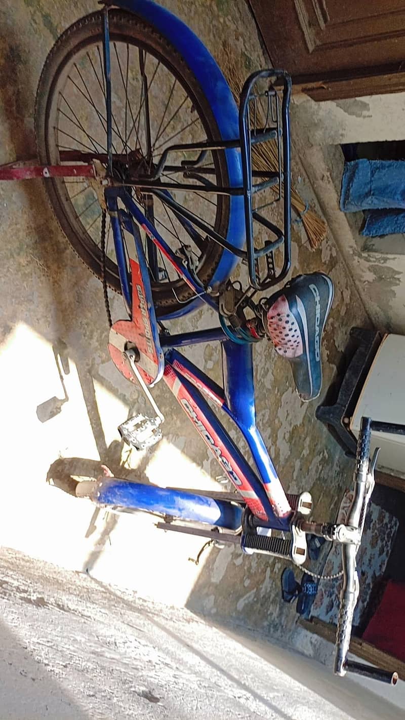 use bicycle 1