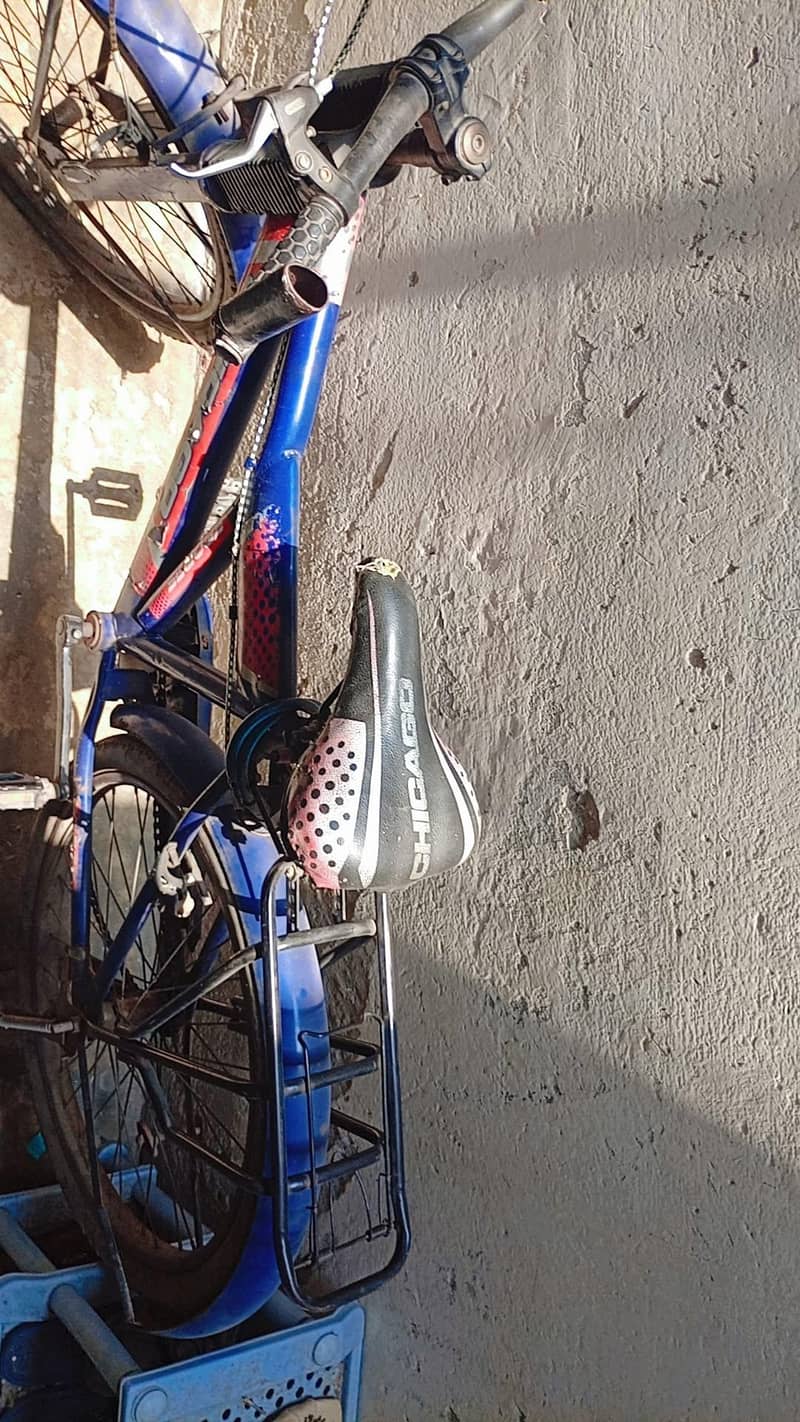 use bicycle 2