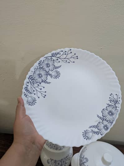Dinner set