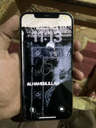Apple iPhone 12 Pro Max