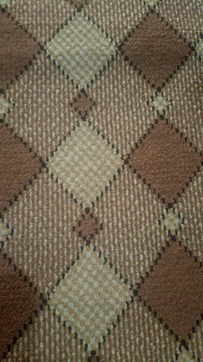 10*12 Double Layer Carpet 1