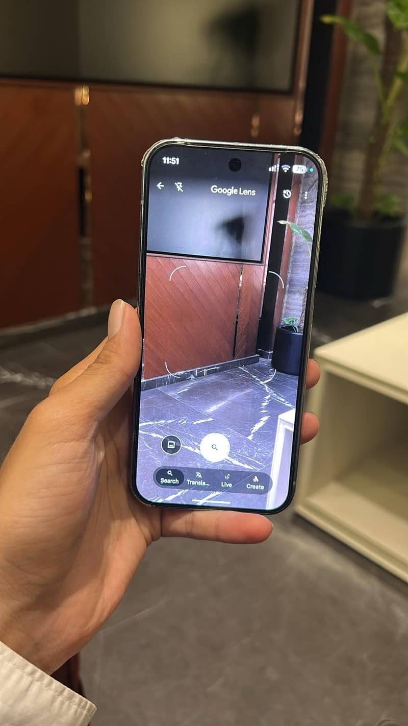 Google Pixel 9 Pro 1