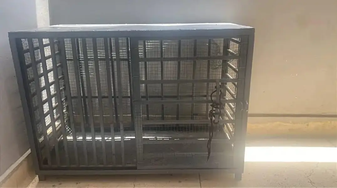 Heavy Metal Cage — photo 2
