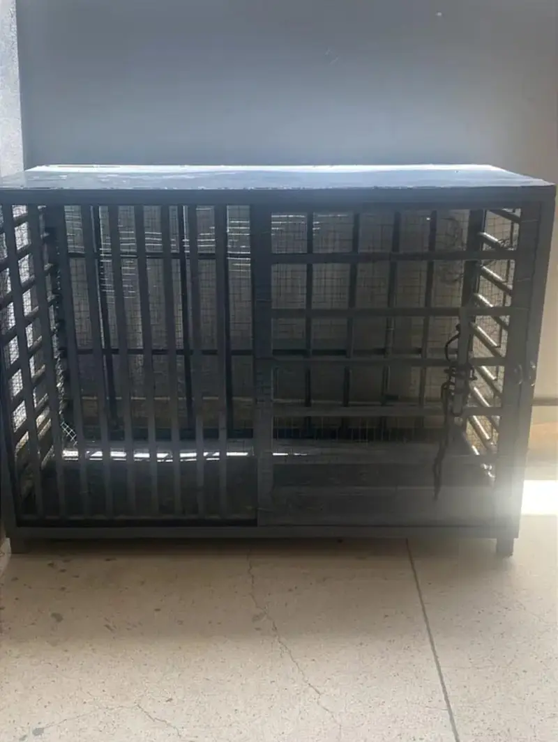 Heavy Metal Cage — photo 3