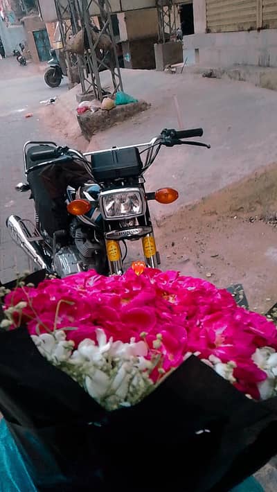 Honda 125 hyd number 2025