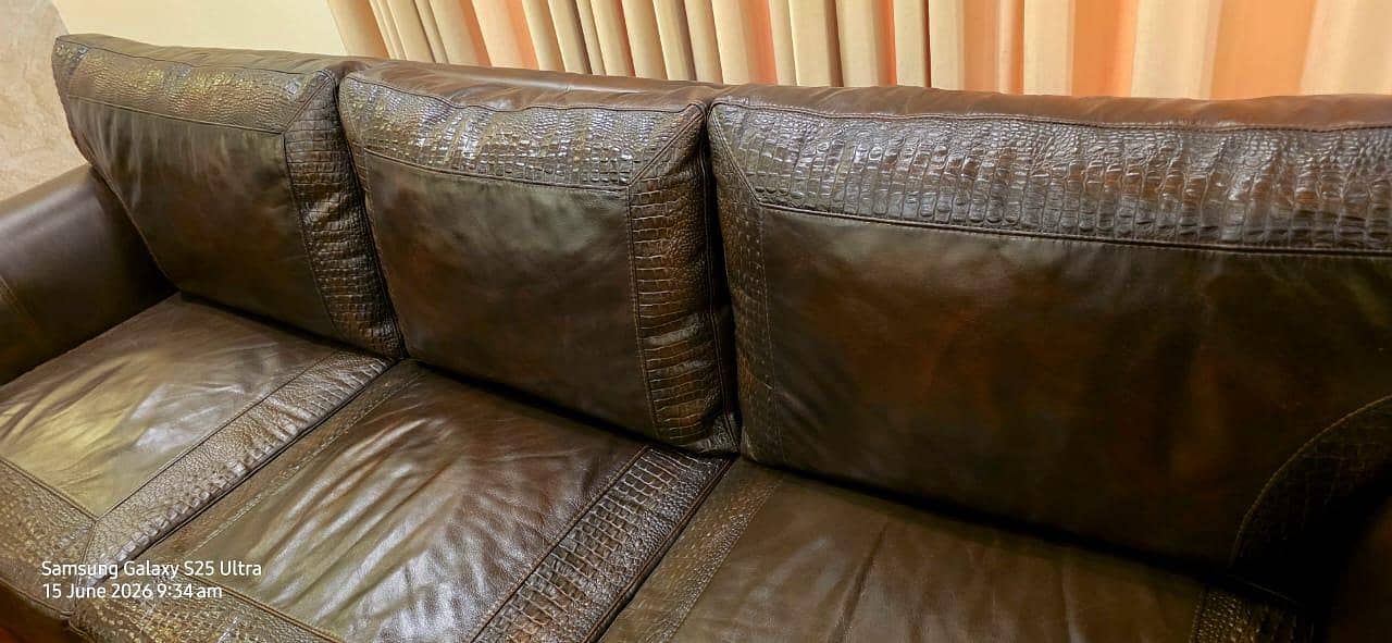 Genuine Leather Sofas 5