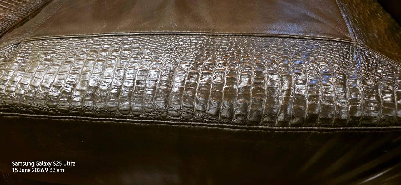 Genuine Leather Sofas 6