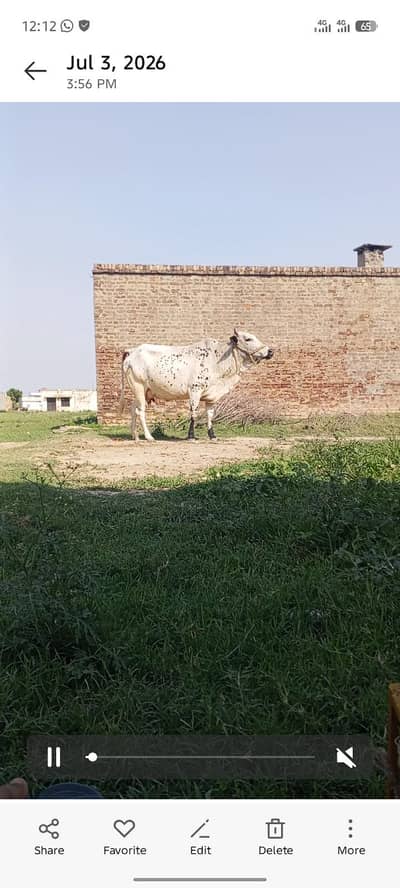 achi chez h kis ko samj aye 5 din ki sohi hai