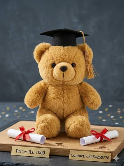 Cute Graduation Teddy Bear with Cap& Diploma -Brand New