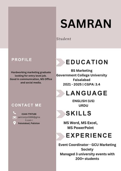 Professional CV & Resume Writing - 24 Hours Delivery