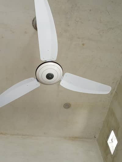 Inayat Fan
