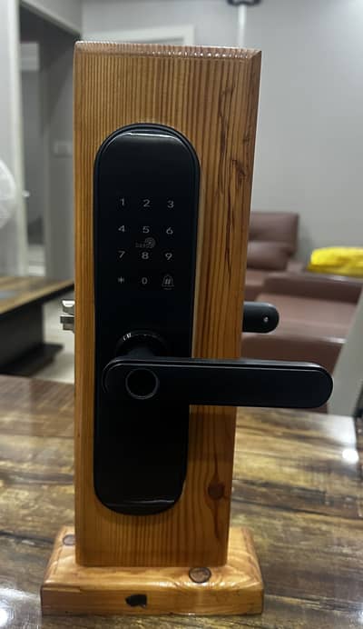 Smart Door handle