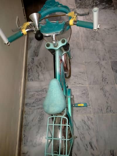 Kid Girls Cycle