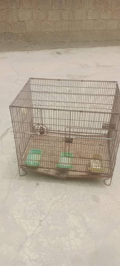 Bird's cage
