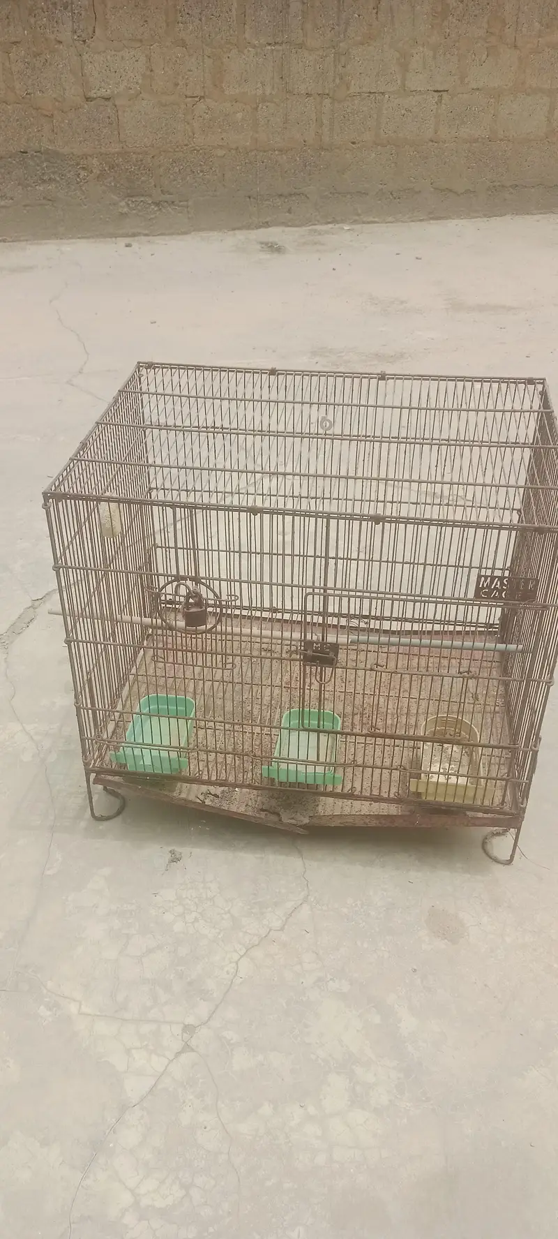 Bird's cage