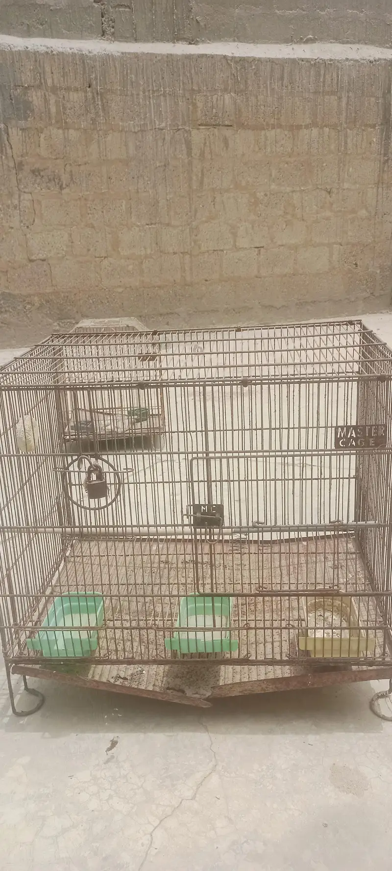 Bird's cage — photo 2