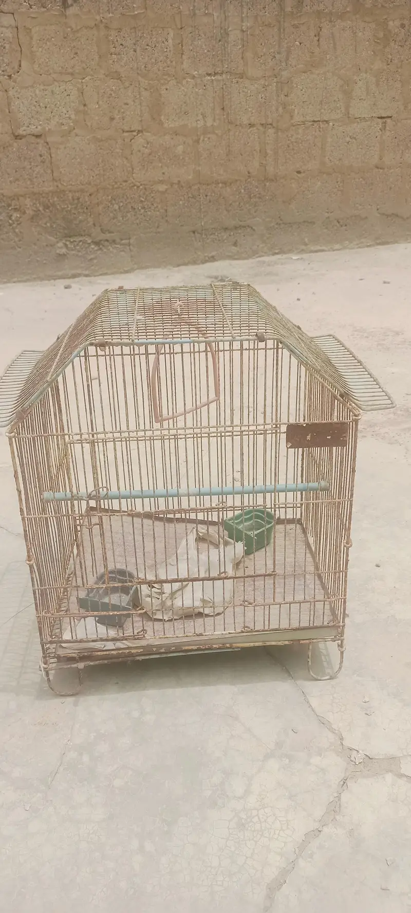 Bird's cage — photo 3