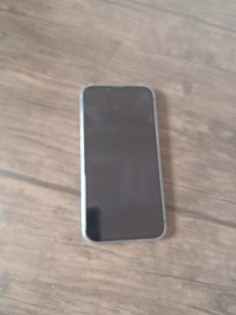 Apple iPhone 13 0