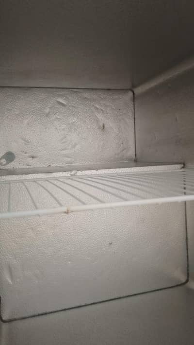 Pel company freezers