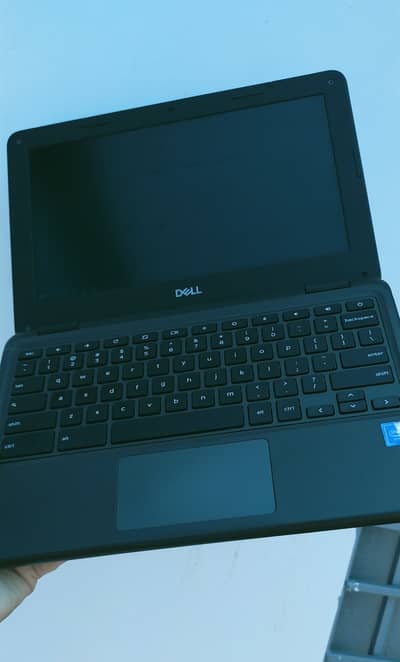 Dell 3100 for sale