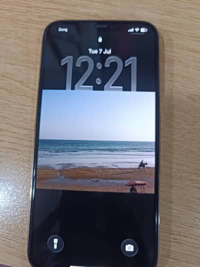 Apple iPhone 12 Pro Max