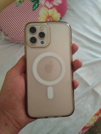 Apple iPhone 12 Pro Max