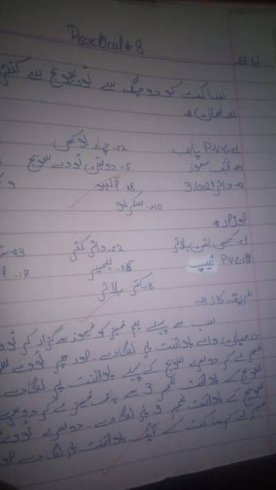 Online Typing Service - Assignments, Notes, Data Entry