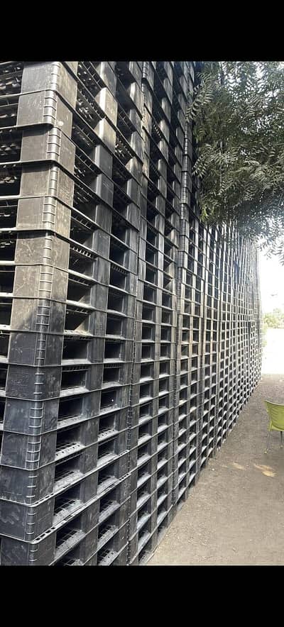 Wood & Plastic Pallets