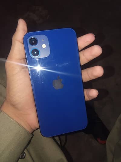 Apple iPhone 12 water pack 10by10 condition