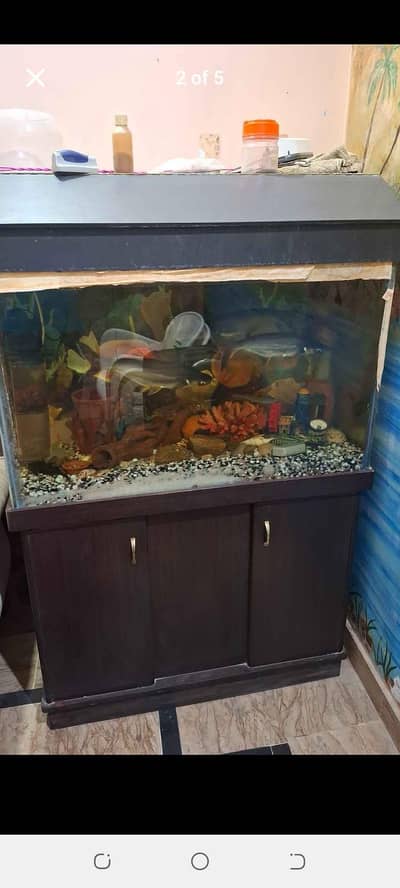 aqurium with fish all accessories