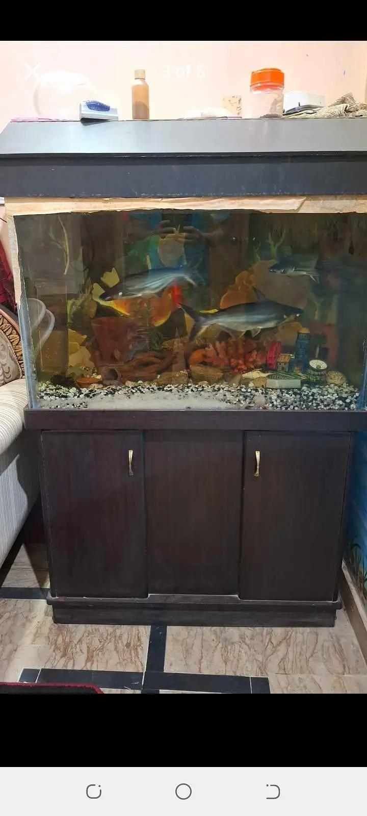 aqurium with fish all accessories — photo 2