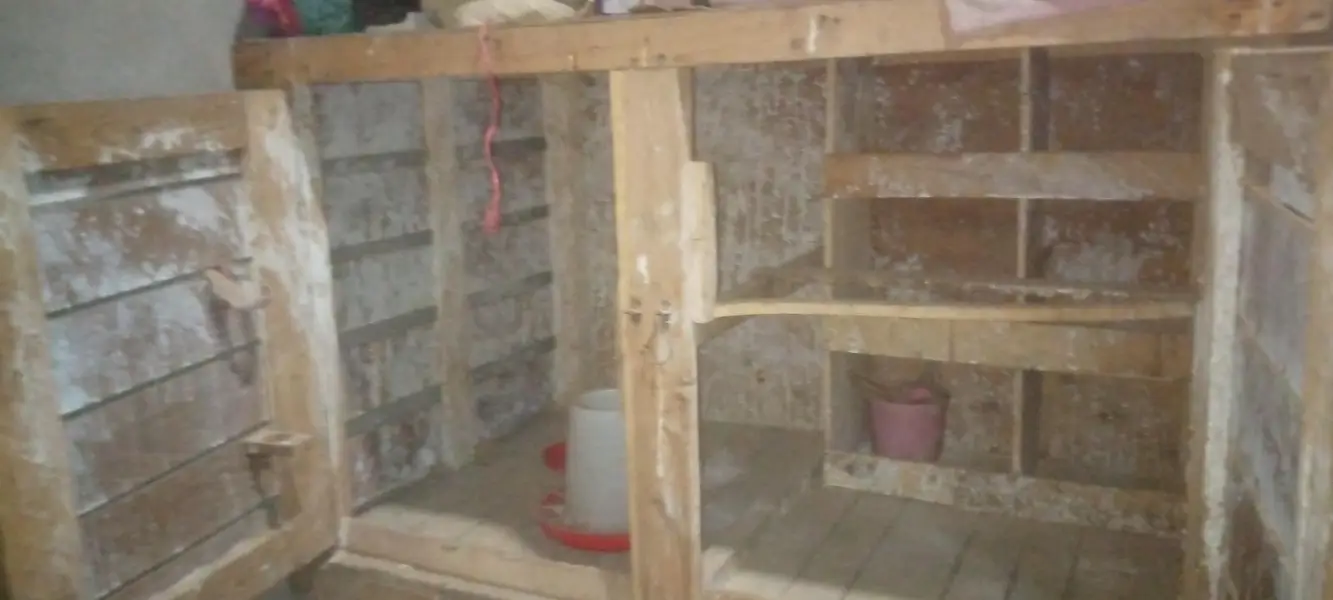 birds cage in very good condition — photo 3