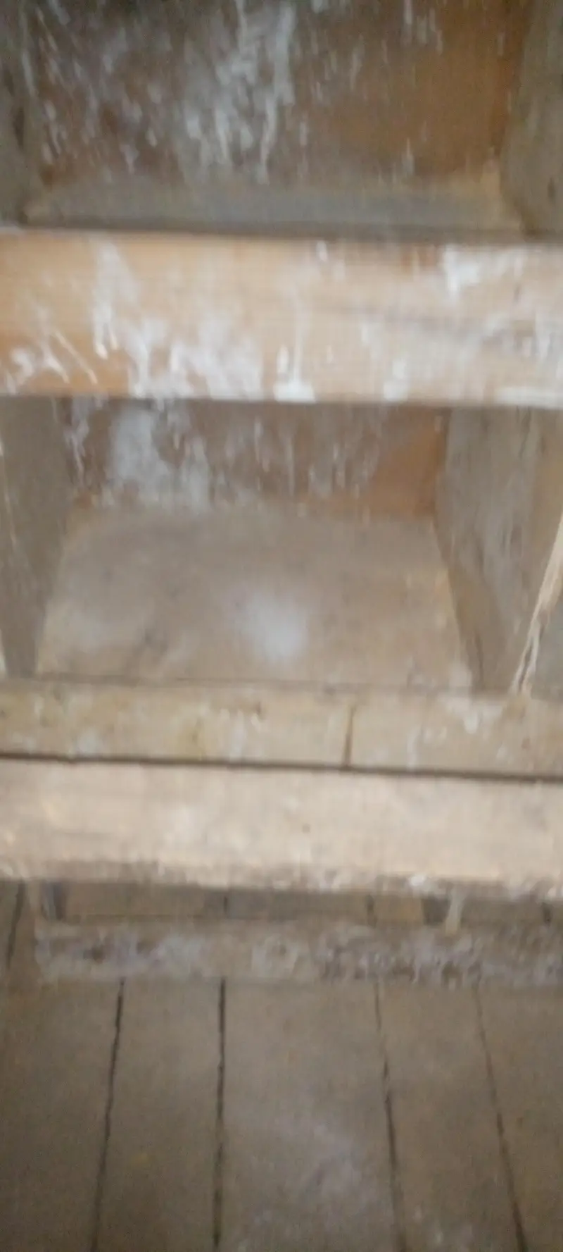 birds cage in very good condition — photo 6